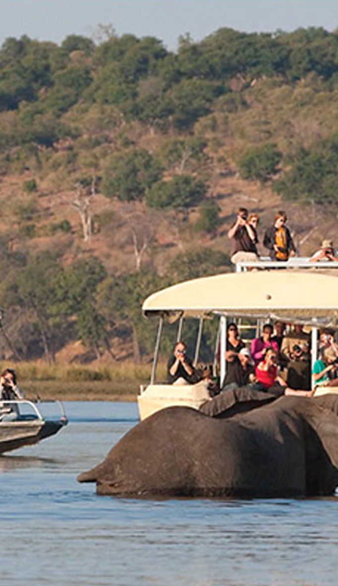 Boat Safaris along the Chobe River