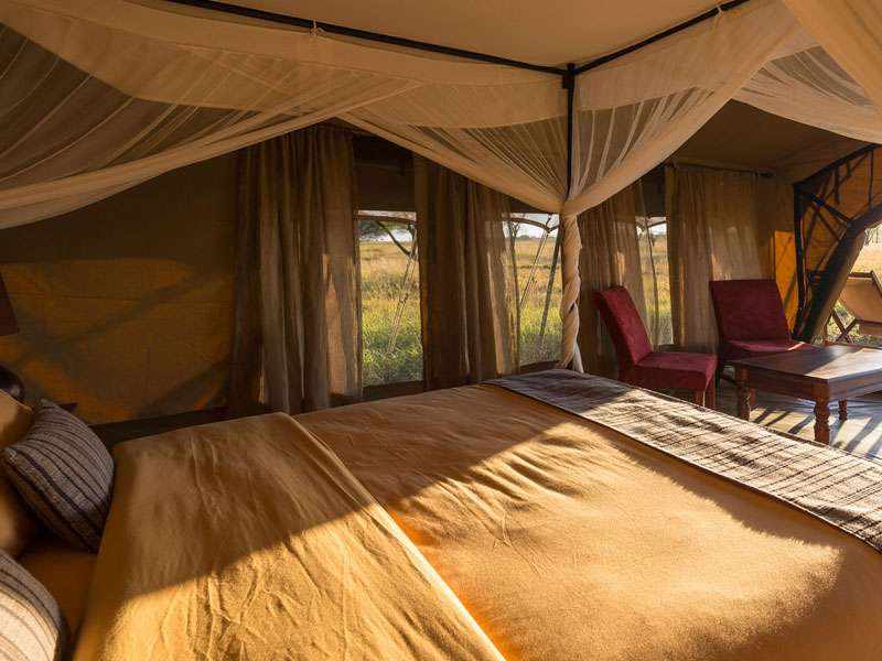chobe safari lodge rooms