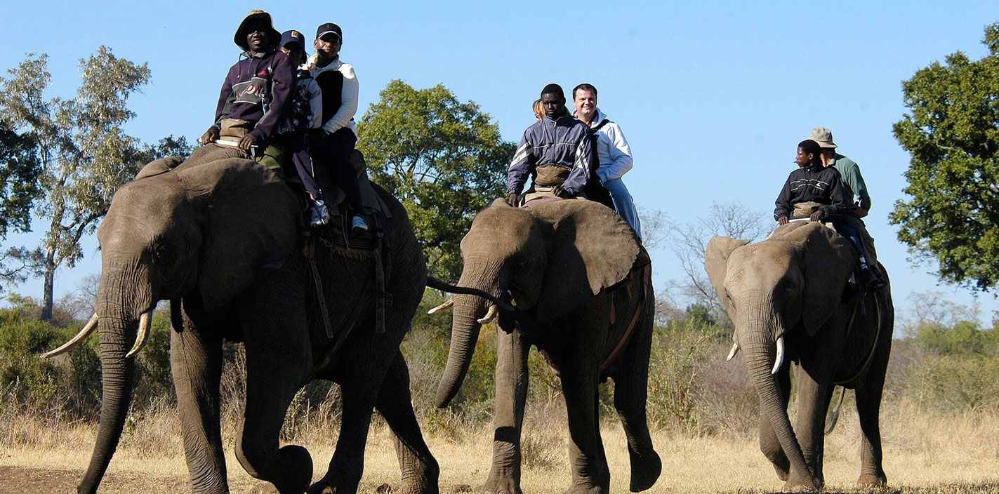 4 Days Elephant Back Safaris