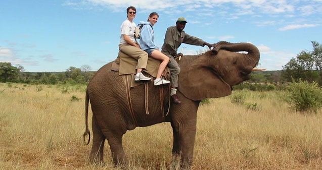 4 Days Elephant Back Safaris