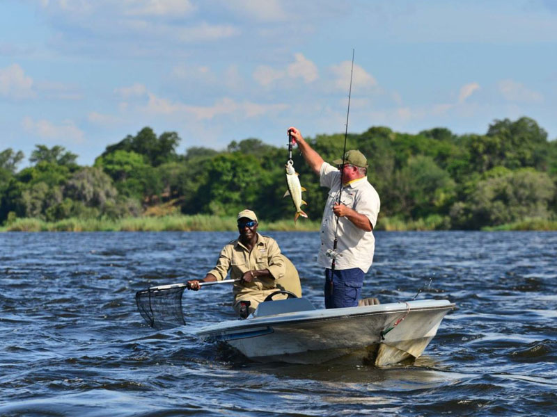 Chobe Tiger Fishing
